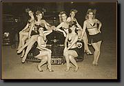 The Lost Angeles Air Raid of 1942