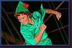 - Disneyland 11/17/07 - By Britt Dietz - Fantasmic! - 