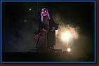 - Disneyland 11/17/07 - By Britt Dietz - Fantasmic! - 
