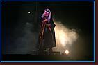 - Disneyland 11/17/07 - By Britt Dietz - Fantasmic! - 