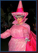 - Disneyland 02/06/08 - By Britt Dietz - Parade of Dreams - 