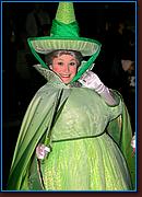 - Disneyland 02/06/08 - By Britt Dietz - Parade of Dreams - 