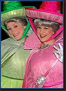 - Disneyland 02/06/08 - By Britt Dietz - Parade of Dreams - 