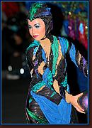 - Disneyland 02/06/08 - By Britt Dietz - Parade of Dreams - 