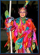 - Disneyland 02/06/08 - By Britt Dietz - Parade of Dreams - 