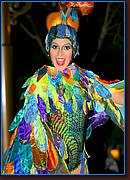 - Disneyland 03/10/08 - By Britt Dietz -  - 