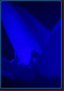 - Disneyland 03/27/08 - By Britt Dietz - Fantasmic! - 