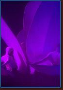 - Disneyland 03/27/08 - By Britt Dietz - Fantasmic! - 