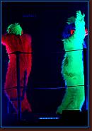 - Disneyland 03/27/08 - By Britt Dietz - Fantasmic! - 