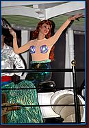 - Disneyland 03/27/08 - By Britt Dietz - Fantasmic! - 