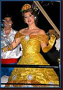 - Disneyland 03/27/08 - By Britt Dietz - Fantasmic! - 