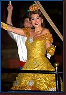 - Disneyland 03/27/08 - By Britt Dietz - Fantasmic! - 